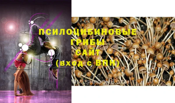 крисы Алексеевка