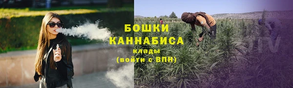 PSILOCYBIN Алзамай