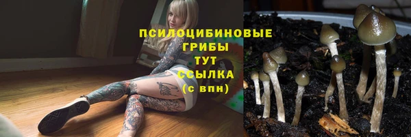 героин Алексин