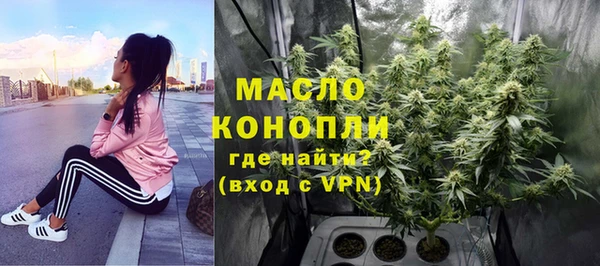 PSILOCYBIN Алзамай