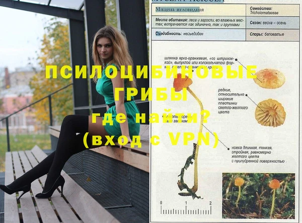 крисы Алексеевка