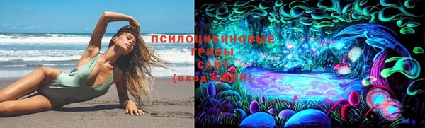 PSILOCYBIN Алзамай