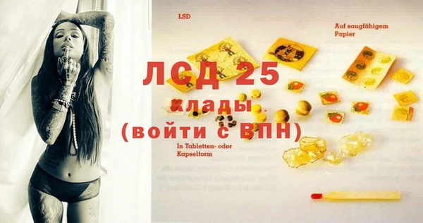 PSILOCYBIN Алзамай